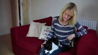 Самый громкий кот-мурлыка - смотреть видео (1:07)