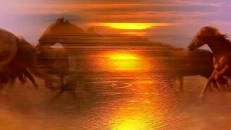 Ах, ты степь широкая! - смотреть видео (4:25)