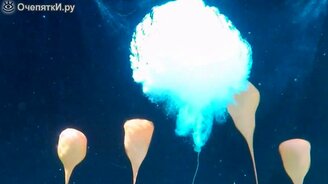 Взрыв жидкого азота в воде - смотреть видео (2:11)
