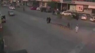 Бешеный баран на дороге - смотреть видео (0:21)