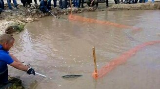 Челябинский бобёр - смотреть видео (5:46)