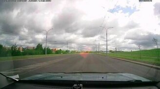 Утка с утятами идёт! - смотреть видео (0:47)