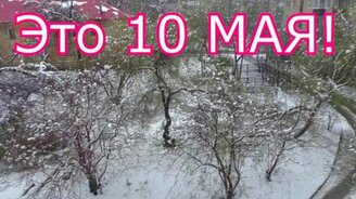 Снегопад на День Победы - смотреть видео (1:31)