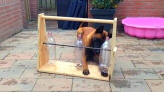 Игрушка-кормушка - смотреть видео (1:07)