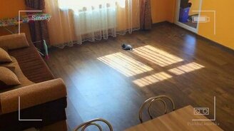 Когда котёнок остаётся в одиночестве - смотреть видео (2:58)