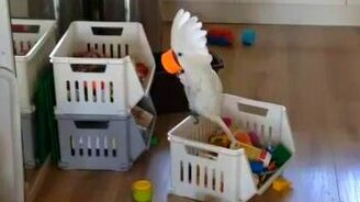 Какая хорошая чашка! - смотреть видео (0:15)