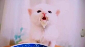 Конфуций познаёт молочную истину - смотреть видео (0:51)