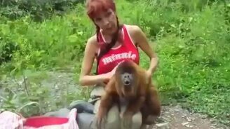 Реакция ревуна на ласку - смотреть видео (1:57)