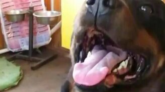 Репетиция к 8 марта - смотреть видео (2:04)