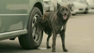 Реклама инвестфондов - смотреть видео (2:30)