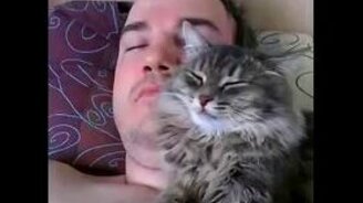 Хранитель хозяйского сна - смотреть видео (0:16)