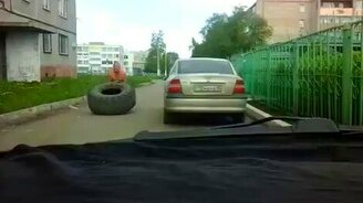 Сила есть - ума не надо - смотреть видео (0:20)