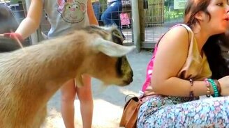 Чихающие зверушки - смотреть видео (1:14)