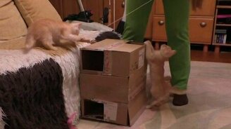 Картонная многоэтажка - смотреть видео (4:15)