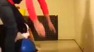 Собака-йог: стойка на передних лапах - смотреть видео (0:15)