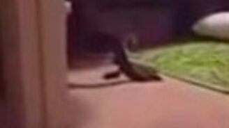 Хватит это играть! - смотреть видео (0:19)