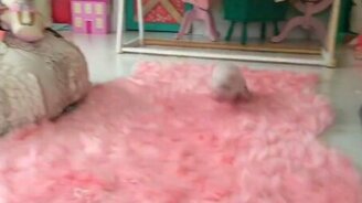 Поросёночек резвится - смотреть видео (0:23)