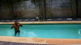 Как полноценно тренироваться в небольшом бассейне - смотреть видео (1:30)