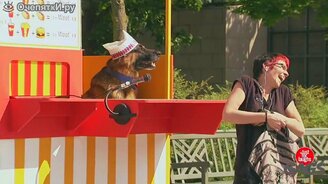 Лайте, чтобы сделать заказ - смотреть видео (1:36)