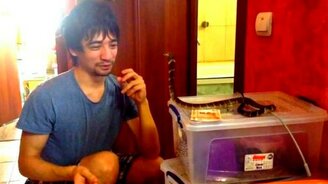 Кобра-охранница - смотреть видео (0:45)