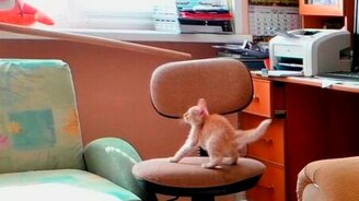 Цирк Бусялей - смотреть видео (3:22)