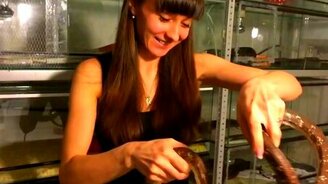 Девушку кусает змея - смотреть видео (0:09)