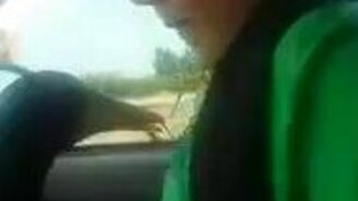 Утка встречает хозяина - смотреть видео (1:04)