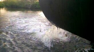 Караси веселятся - смотреть видео (0:58)