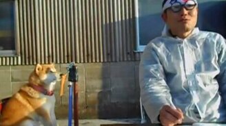 Как надо писать диплом - смотреть видео (1:24)