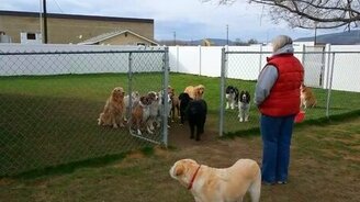 Как выглядит противник системы - смотреть видео (1:02)