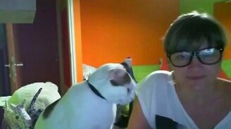 Когда кот вместо мужчины - смотреть видео (2:04)