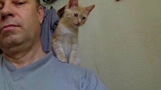 Котёнок - капитан Флинт - смотреть видео (2:25)