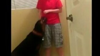 Собака успокаивает больную - смотреть видео (1:14)