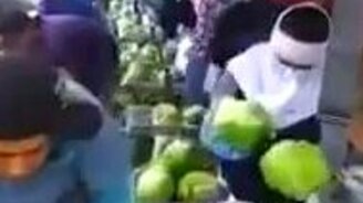 Шустрый ручной конвейер - смотреть видео (1:07)