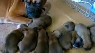 Зов потомков - смотреть видео (0:47)