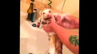 Друг думал, что застал врасплох - смотреть видео (0:09)