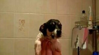 Маленький зомби - смотреть видео (0:35)