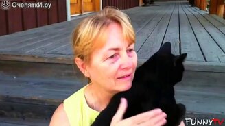 Кошки, любящие обниматься - смотреть видео (5:51)