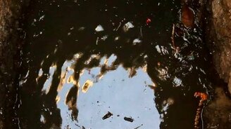 Спасение щенка из колодца - смотреть видео (3:18)