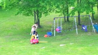 Отцовский инстинкт в действии - смотреть видео (2:35)