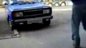 Самый главный кот на районе - смотреть видео (0:30)