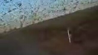 Нашествие саранчи - смотреть видео (1:03)