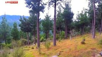 Баран против коптера - смотреть видео (0:16)