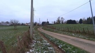 Пони против кабана - смотреть видео (1:47)