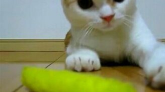 Эти глаза напротив - смотреть видео (1:12)