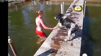 Собачьи казусы - смотреть видео (2:17)