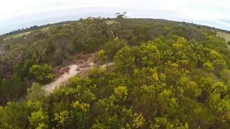 Орёл атакует дрона - смотреть видео (0:16)