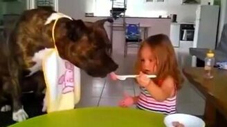 Девочка потчует пса - смотреть видео (0:23)