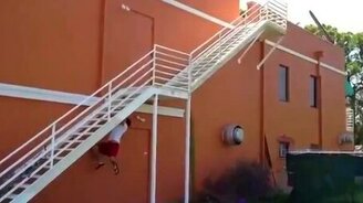 О, да тут осиное гнездо! - смотреть видео (0:31)