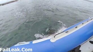 Несколько секунд безысходности - смотреть видео (0:15)